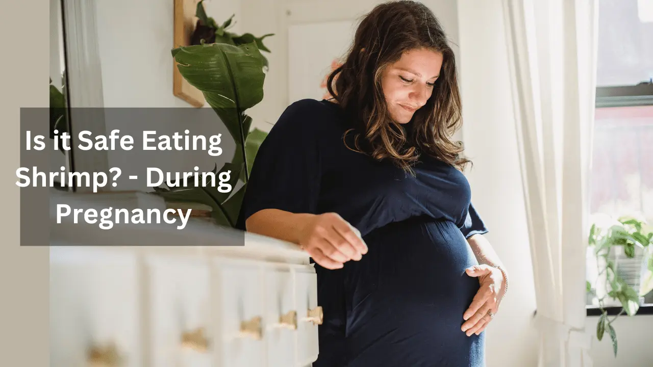 can pregnant women eat shrimp